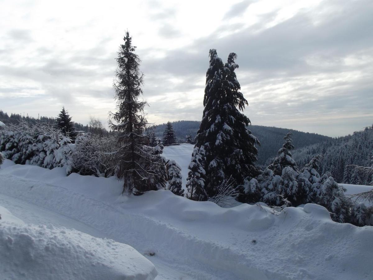 Chata S Vyhledem Jachymov Bagian luar foto