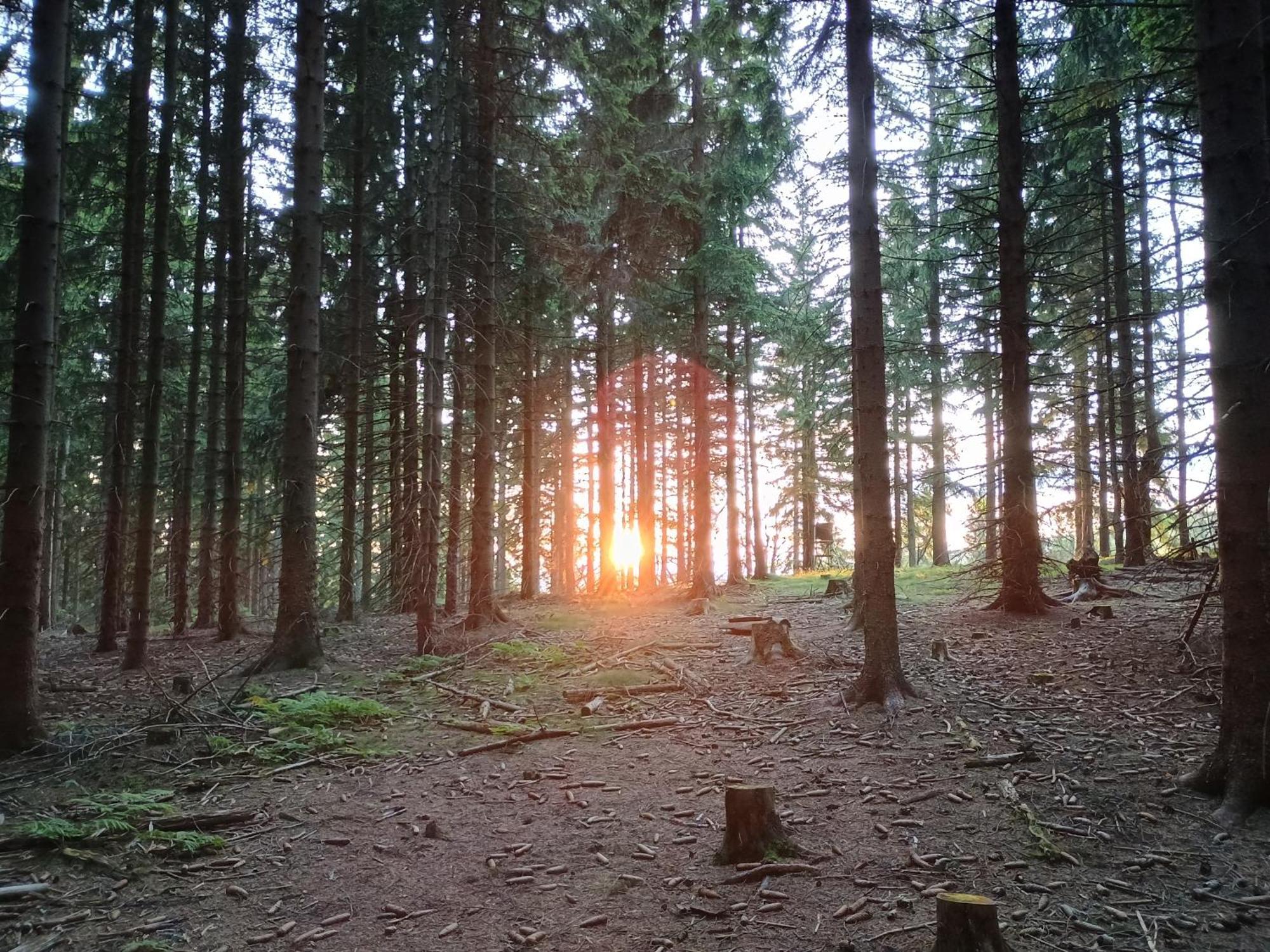Chata S Vyhledem Jachymov Bagian luar foto